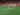 FIFA 22 Title Update 14 Patch Notes – New Skill Move, Shots, More