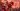 Shadow Warrior 3 Official Delay Announcement Trailer