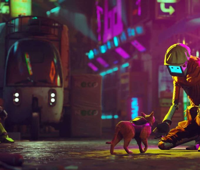 This Stray no-damage run is purrfect viewing for animal lovers This Stray no-damage run is purrfect viewing for animal lovers